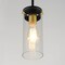 Maxim Lighting Pinn 1-Light Mini Pendant 12406CLBKSBR - alternate 3